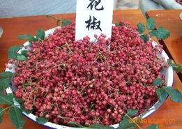 莱芜市莱城区嘉誉农副产品购销中心调味香料与特色农副产品全览