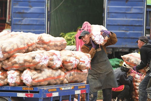 寒潮将至，备货先行——太原河西市场全力保障市民“菜篮子”供应