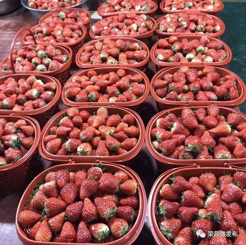 荣昌本地农副产品线上选购指南 手机下单，美味到家