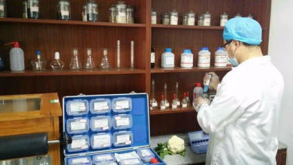 广州农副产品批发市场 蔬菜配送服务助力酒店、学校与工厂需求