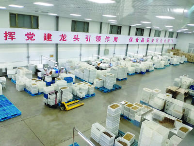 汾阳市多措并举支持农副产品深加工，助推农业经济提质增效